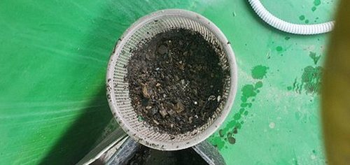 영종구 하수구막힘 배관 점검 전 배수구 주변의 안전 상태를 확인하는 모습
